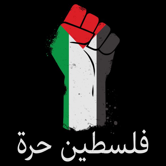Free Palestine Arabic Protest Fist Flag Colors Poster