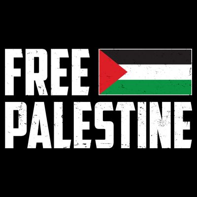 Free Palestine Flag T-Shirt