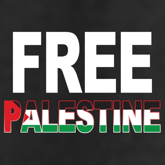 Free Palestine Flag Palestine 11oz C Handle Ceramic Mug