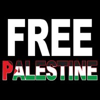 Free Palestine Flag Palestine Womens T-Shirt