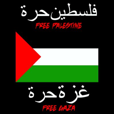 Free Palestine Gaza Arabic Writing Flag T-Shirt