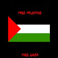 Free Palestine Gaza Arabic Writing Flag Mug