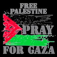 Free Palestine Pray For Gaza Palestinian Flag Flatbill Hat