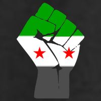 Free Syria Revolution Fist Flag 7 Panel Mesh Trucker Snapback Hat