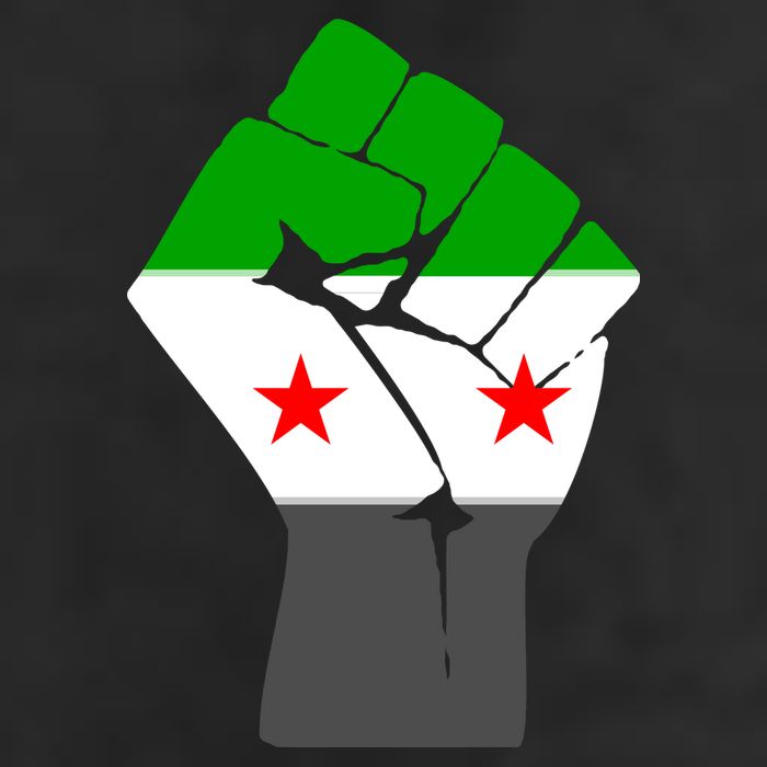 Free Syria Revolution Fist Flag 7 Panel Mesh Trucker Snapback Hat