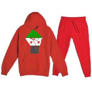 Free Syria Revolution Fist Flag Premium Hooded Sweatsuit Set