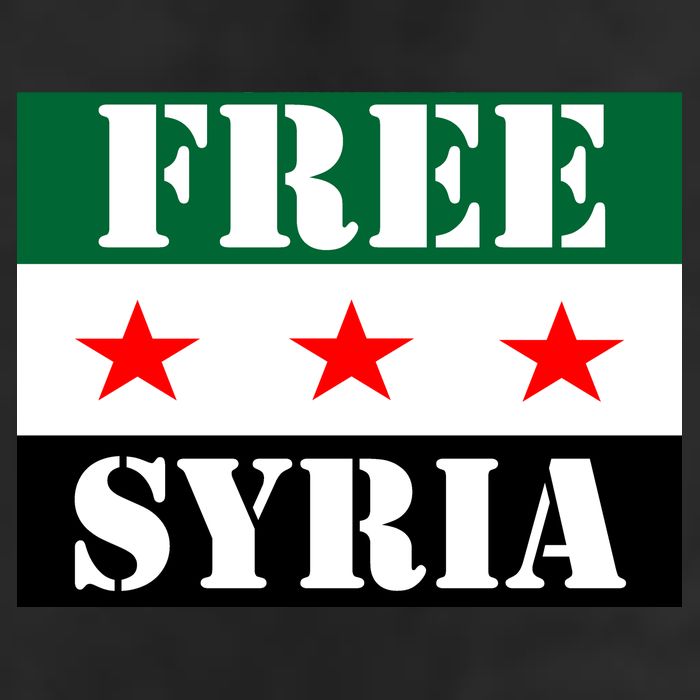 Free Syria Syrian Anti War Protest Strikes 7 Panel Mesh Trucker Snapback Hat