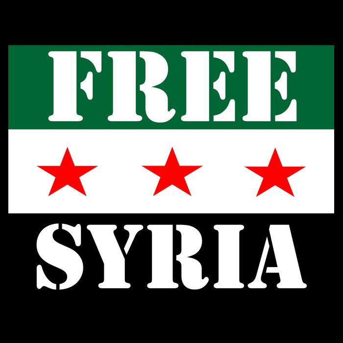 Free Syria Syrian Anti War Protest Strikes Bucket Hat