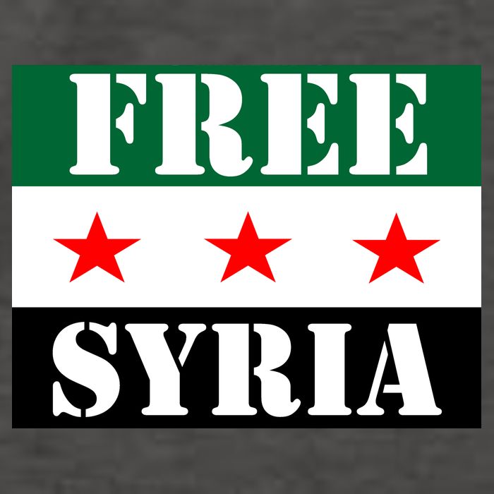 Free Syria Syrian Anti War Protest Strikes Vector Backpack