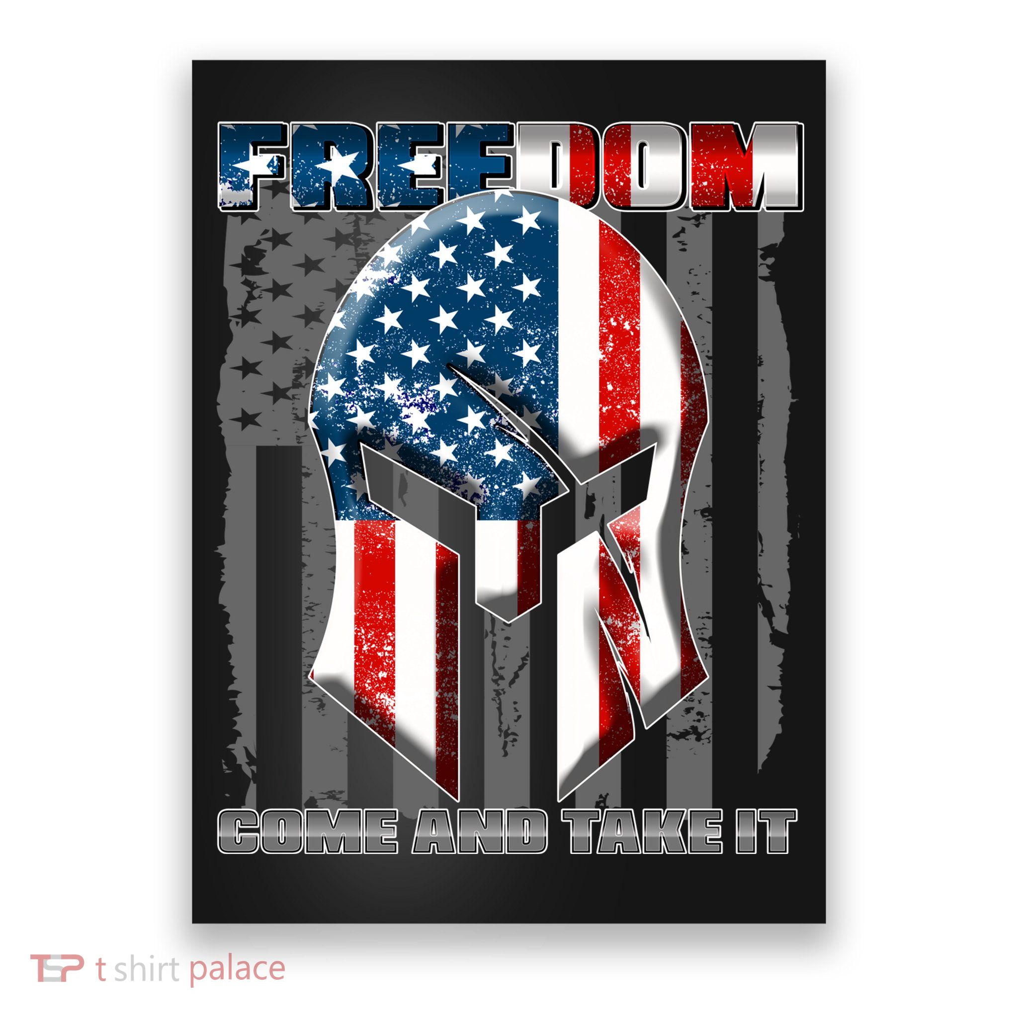 Freedom Come And Take It Gladiator US Flag Poster