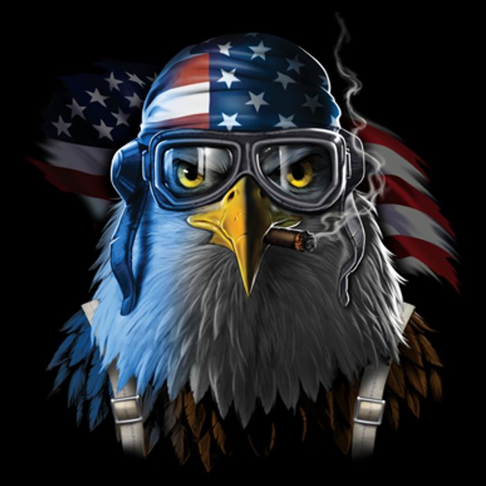 Freedom Fighter Bald American Eagle Backpack