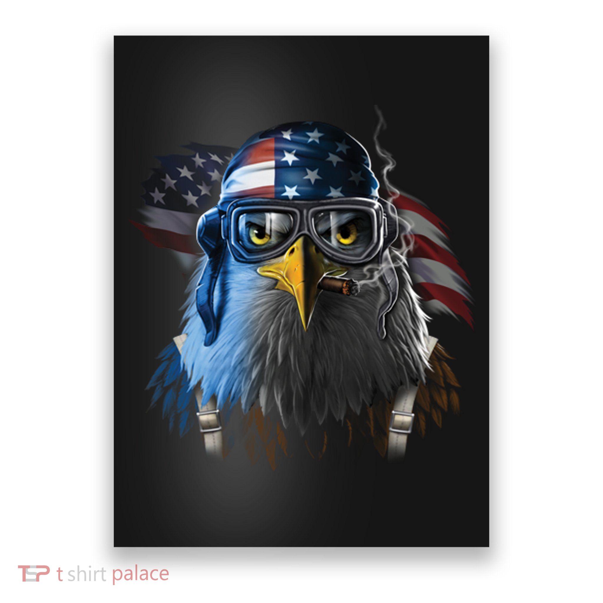 Freedom Fighter Bald American Eagle Poster