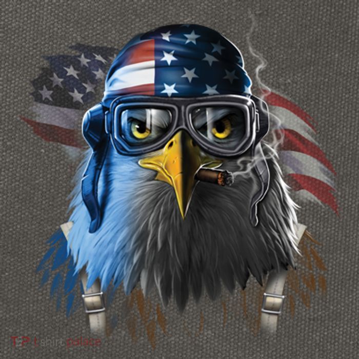 Freedom Fighter Bald American Eagle Cotton Canvas Backpack