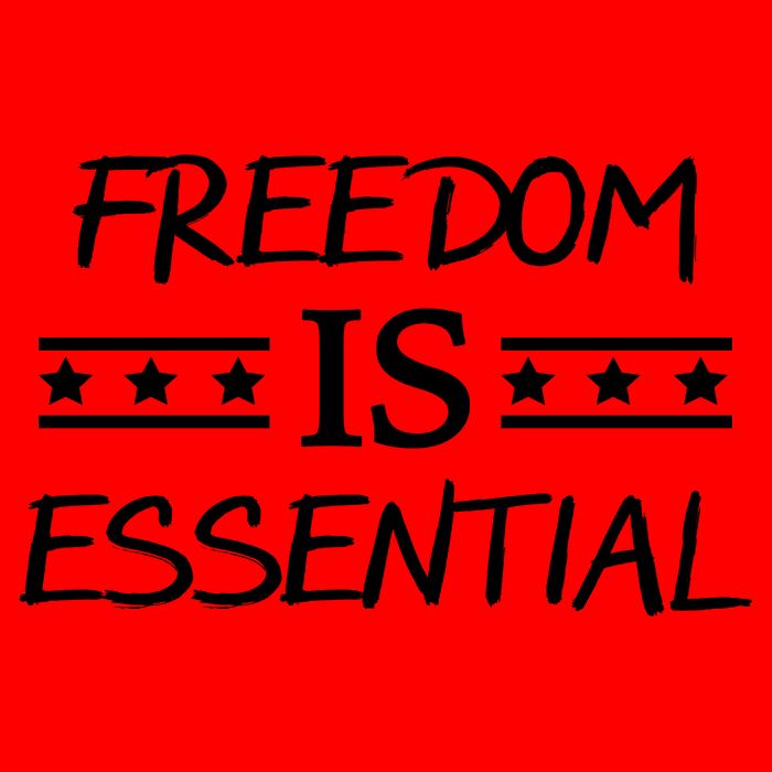Freedom Is Essential  Mug