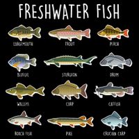 Freshwater Fish City Backpack