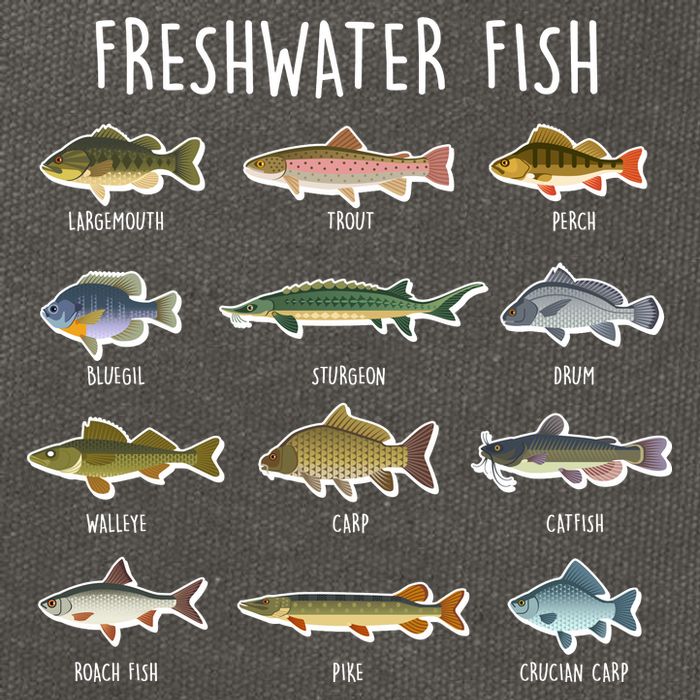 Freshwater Fish Cotton Canvas Backpack