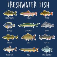 Freshwater Fish T-Shirt