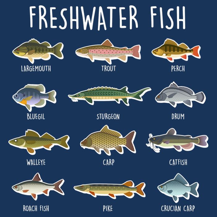 Freshwater Fish T-Shirt