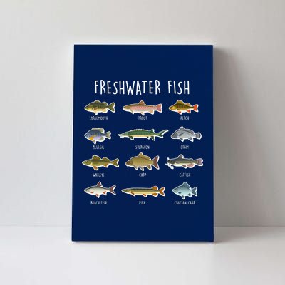 Freshwater Fish Canvas