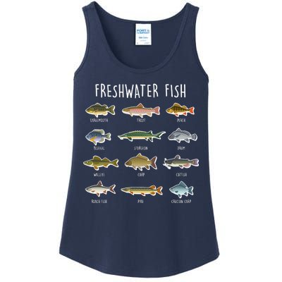 Freshwater Fish Ladies Essential Tank