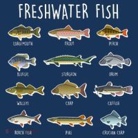 Freshwater Fish Kids T-Shirt