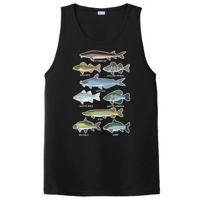 Freshwater Fish Types Fishing PosiCharge Competitor Tank