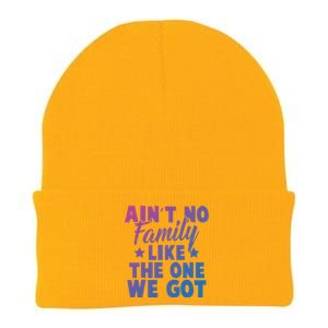 Family Reunion Family Connection No Family Like One We Got Funny Gift Knit Cap Winter Beanie