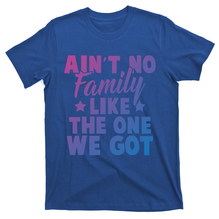 Family Reunion Family Connection No Family Like One We Got Funny Gift T-Shirt