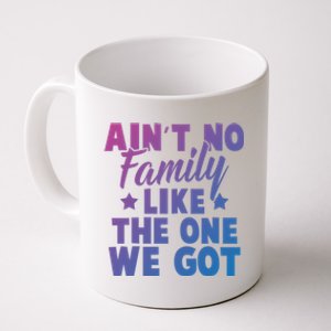 Family Reunion Family Connection No Family Like One We Got Funny Gift Coffee Mug