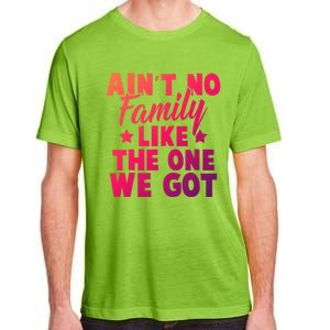 Family Reunion Family Connection No Family Like One We Got Funny Gift Adult ChromaSoft Performance T-Shirt