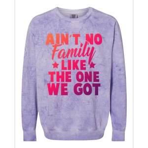 Family Reunion Family Connection No Family Like One We Got Funny Gift Colorblast Crewneck Sweatshirt