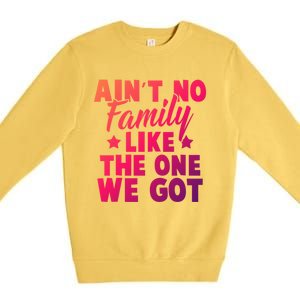 Family Reunion Family Connection No Family Like One We Got Funny Gift Premium Crewneck Sweatshirt