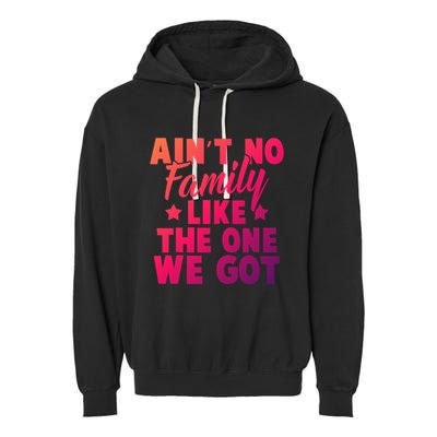 Family Reunion Family Connection No Family Like One We Got Funny Gift Garment-Dyed Fleece Hoodie