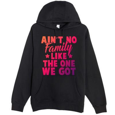 Family Reunion Family Connection No Family Like One We Got Funny Gift Premium Pullover Hoodie