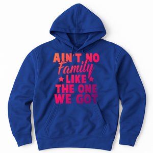 Family Reunion Family Connection No Family Like One We Got Funny Gift Hoodie