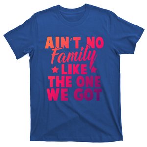 Family Reunion Family Connection No Family Like One We Got Funny Gift T-Shirt