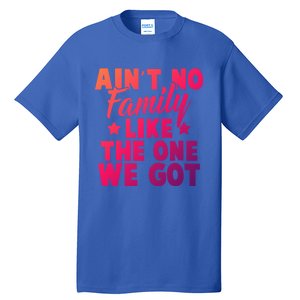 Family Reunion Family Connection No Family Like One We Got Funny Gift Tall T-Shirt