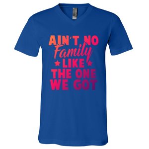 Family Reunion Family Connection No Family Like One We Got Funny Gift V-Neck T-Shirt