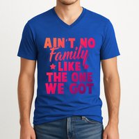 Family Reunion Family Connection No Family Like One We Got Funny Gift V-Neck T-Shirt