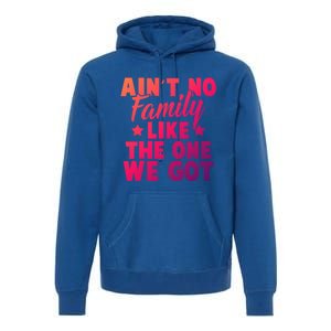 Family Reunion Family Connection No Family Like One We Got Funny Gift Premium Hoodie