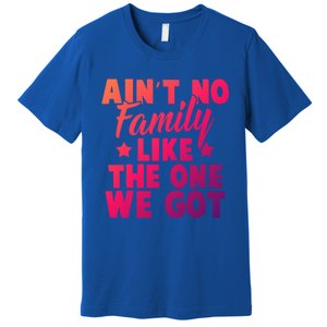 Family Reunion Family Connection No Family Like One We Got Funny Gift Premium T-Shirt