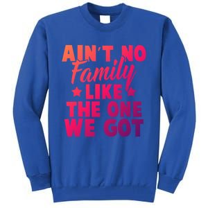 Family Reunion Family Connection No Family Like One We Got Funny Gift Tall Sweatshirt