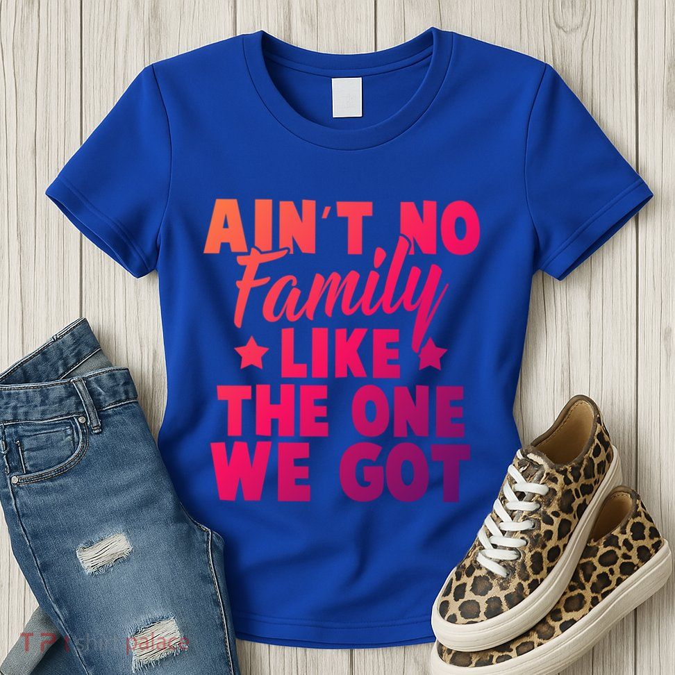 Family Reunion Family Connection No Family Like One We Got Funny Gift Womens T-Shirt