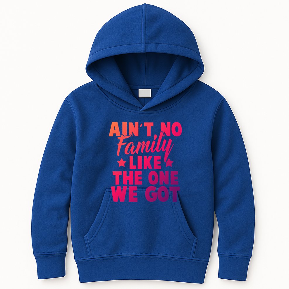 Family Reunion Family Connection No Family Like One We Got Funny Gift Kids Hoodie