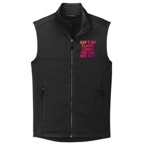 Family Reunion Family Connection No Family Like One We Got Funny Gift Collective Smooth Fleece Vest