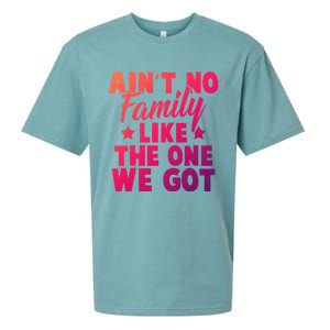 Family Reunion Family Connection No Family Like One We Got Funny Gift Sueded Cloud Jersey T-Shirt