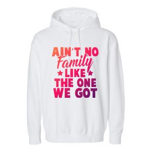 Family Reunion Family Connection No Family Like One We Got Funny Gift Garment-Dyed Fleece Hoodie