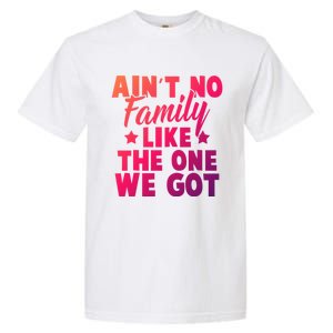 Family Reunion Family Connection No Family Like One We Got Funny Gift Garment-Dyed Heavyweight T-Shirt