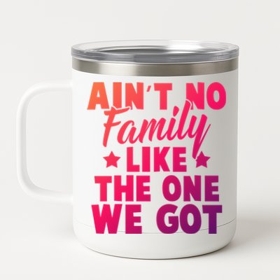 Family Reunion Family Connection No Family Like One We Got Funny Gift 12 oz Stainless Steel Tumbler Cup