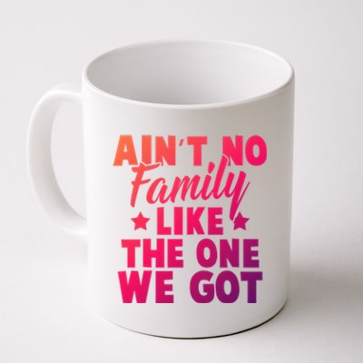 Family Reunion Family Connection No Family Like One We Got Funny Gift Coffee Mug